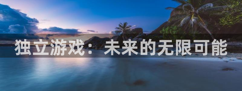 辉达娱乐开户测速：独立游戏：未来的无限可能