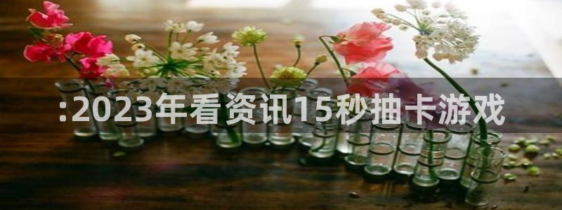 辉达娱乐平台官网注册：:2023年看资讯15秒抽卡游戏