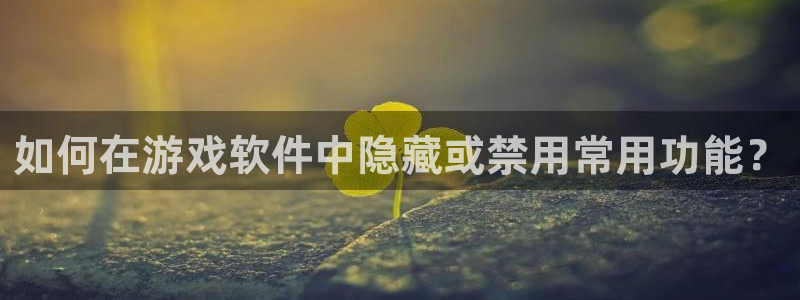 辉达娱乐Ii：如何在游戏软件中隐藏或禁用常用功能？