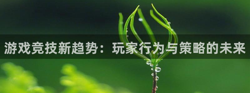 辉达娱乐2首页登录：游戏竞技新趋势：玩家行为与策略的未来