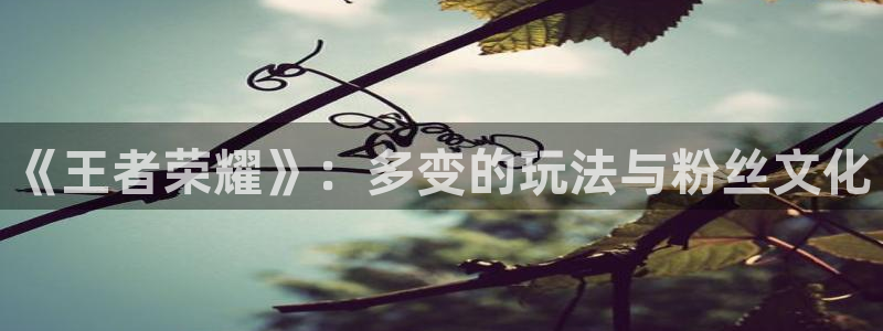 辉达娱乐测速：《王者荣耀》：多变的玩法与粉丝文化